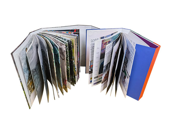 Children's Picture Books